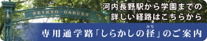 ba_shirakashi